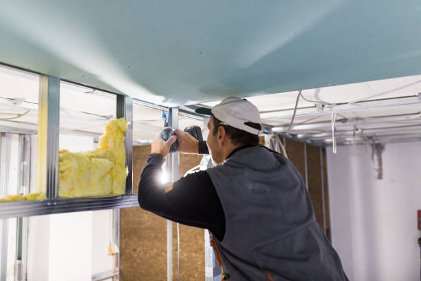 Professional Insulation Contractor in Buchanan Dam, TX