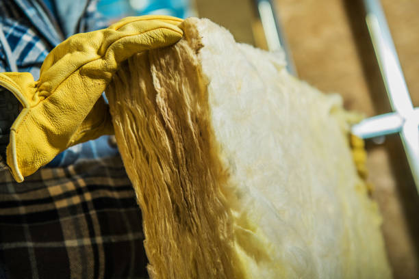 Best Eco-Friendly Insulation in Buchanan Dam, TX
