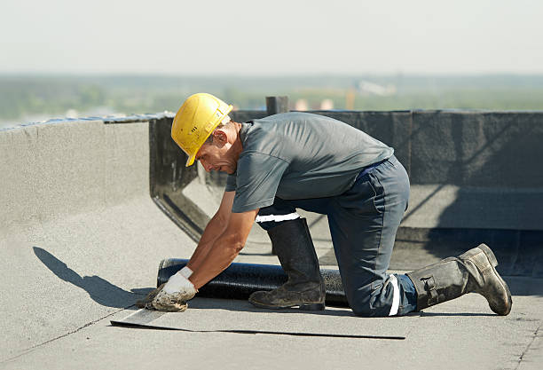 Best Cellulose Insulation in Buchanan Dam, TX